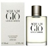 Acqua Di Gio Masculino Eau de Toilette 100ml