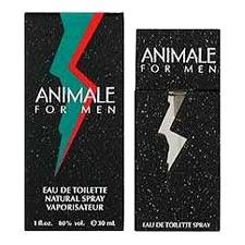 Animale Masculino Eau de Toilette 100ml